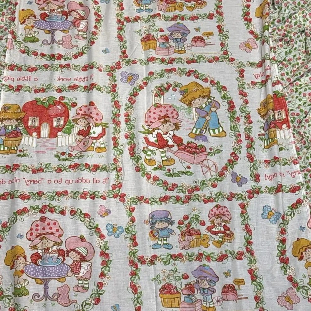 Vintage Strawberry Shortcake Twin Bedspread Ruffle JC Penney Cottagecore